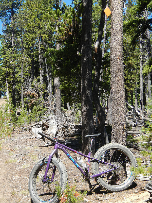 28093363985_a390fa119a_c