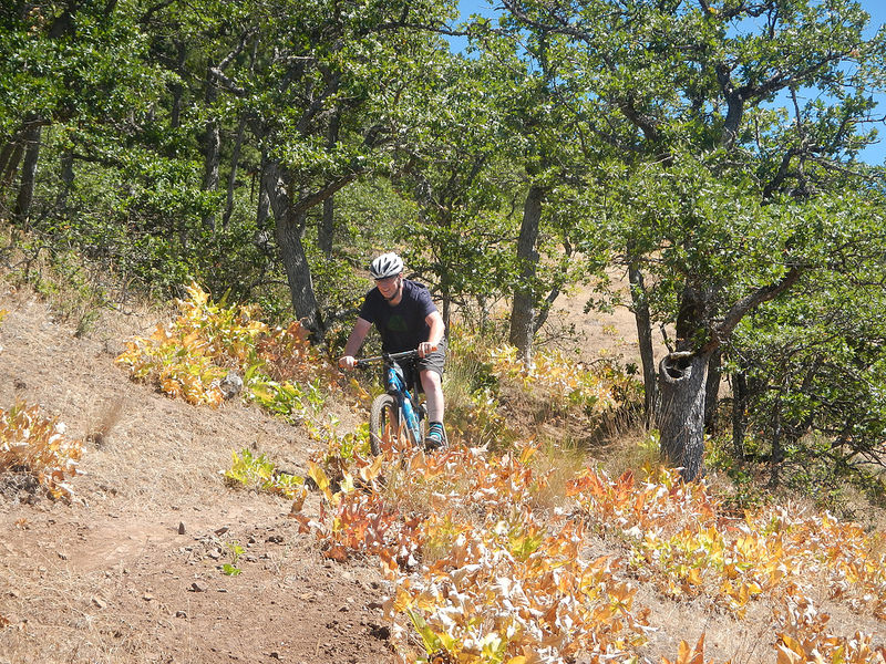 28425068441_d1f9dbbe21_c