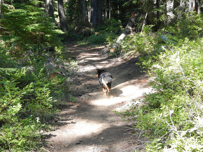 28067722404_97d071e711_c