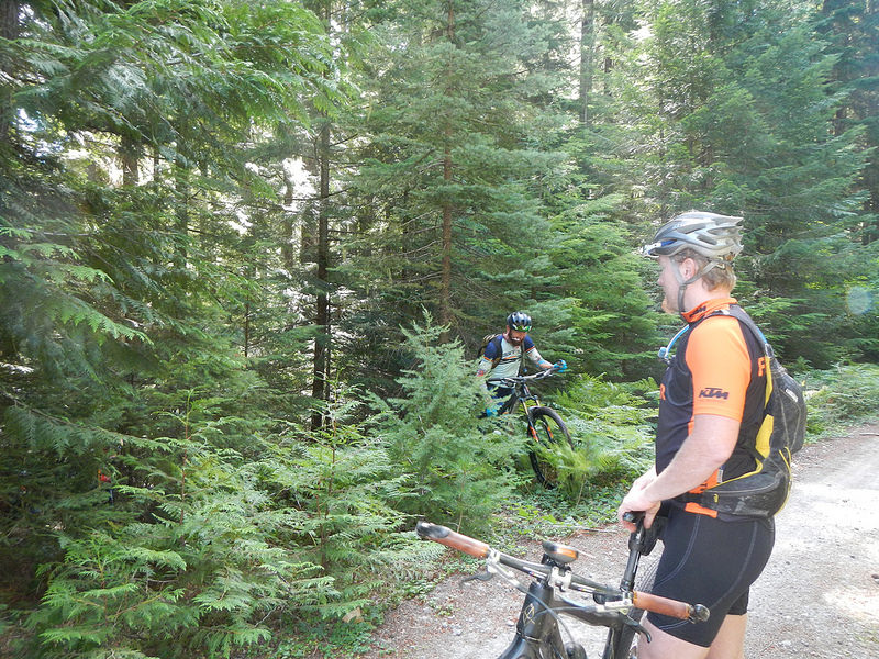 28223585113_d3368174ba_c