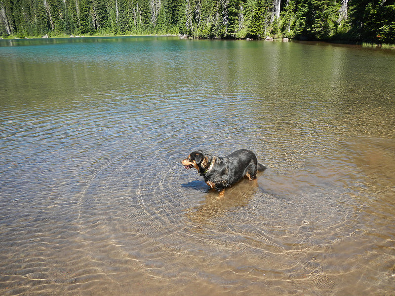 28652701296_9b06b03ff5_c