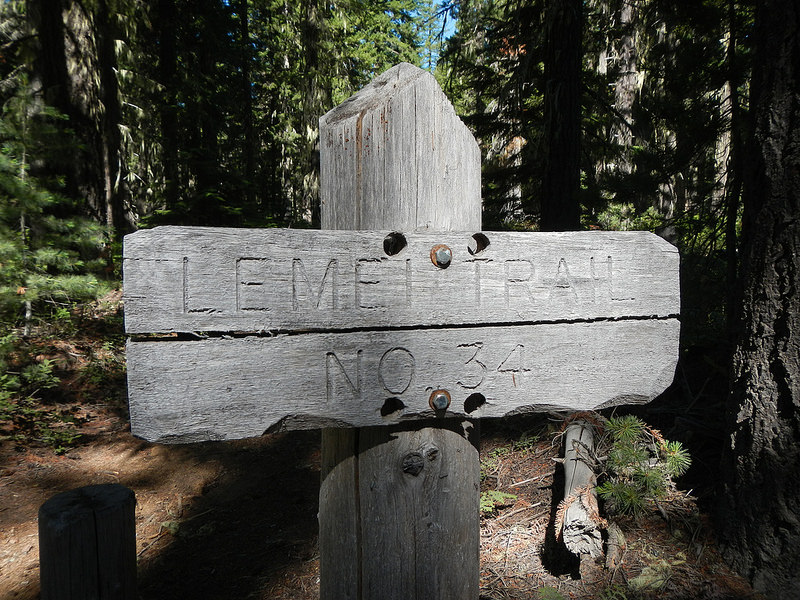 28684746065_cab03ee347_c