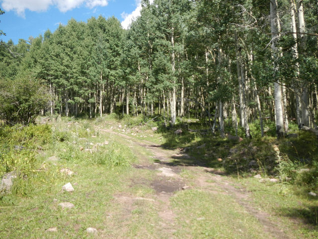 28897393450_8718aed7ce_z