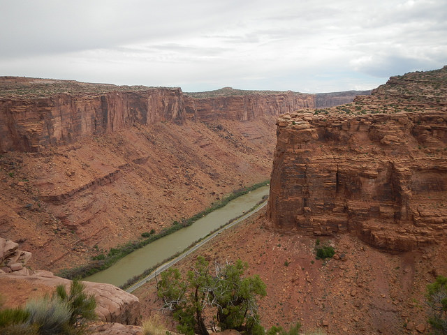 29079005152_47315108bc_z