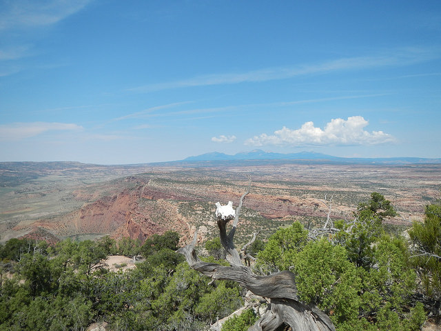 29106851381_08c3137bda_z