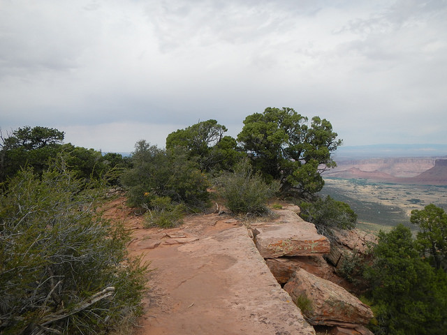 29106887211_ffefe5daf6_z