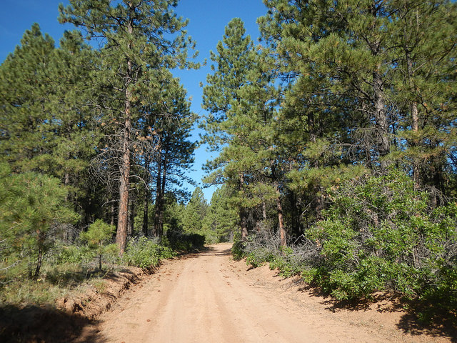 29107020371_3e27f47d09_z