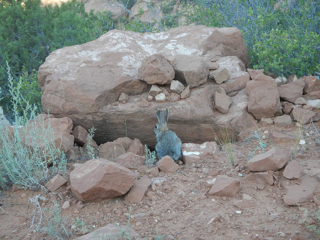 29107032231_6aced0e72b_z