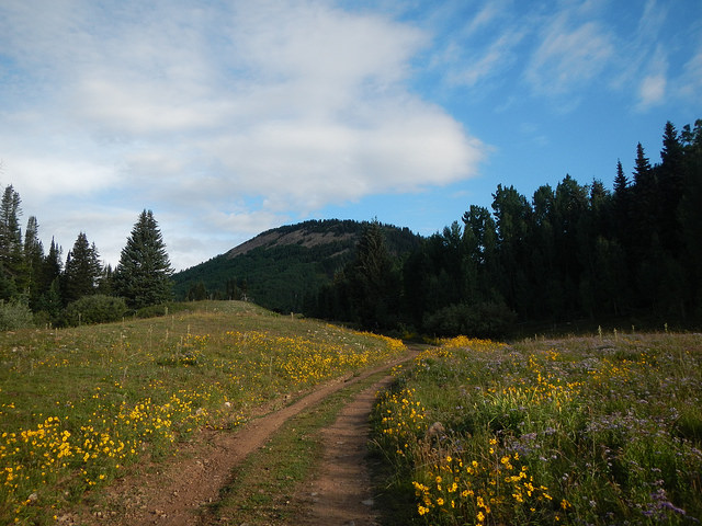 29151637776_e56149a2e2_z