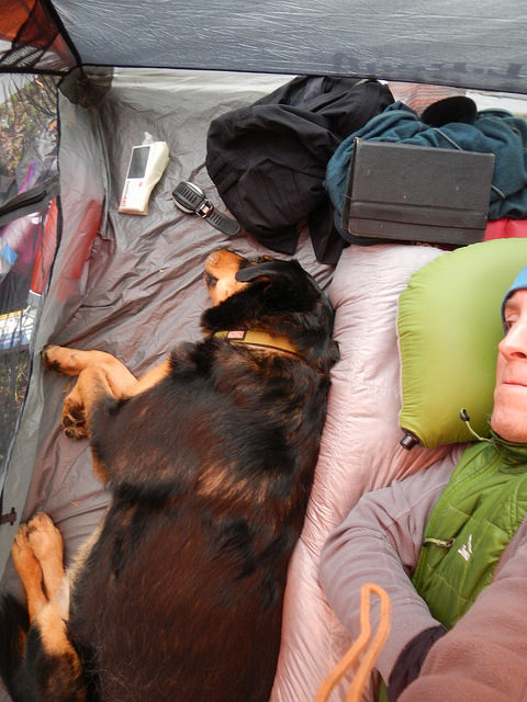 28859213894_68aeabce51_z