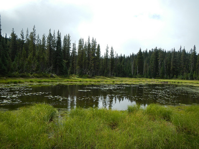 28861449213_c28315f6bc_z