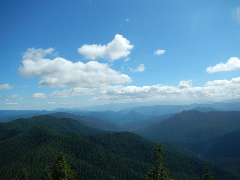 28994582324_b1867d5253_c