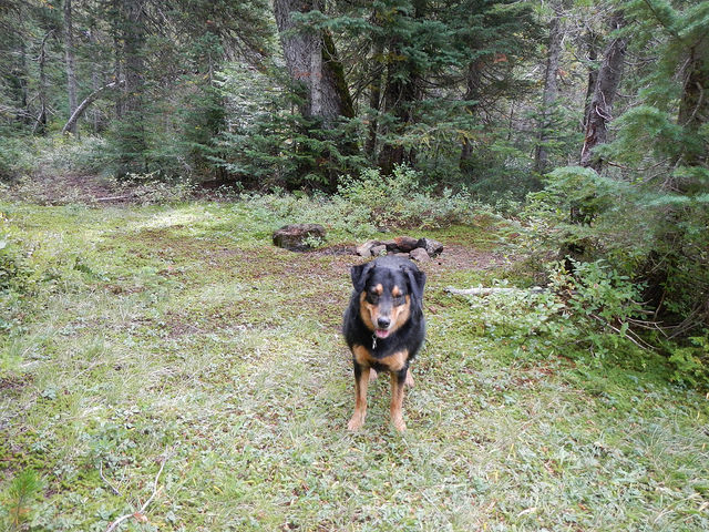 29194891310_db2d6079bf_z