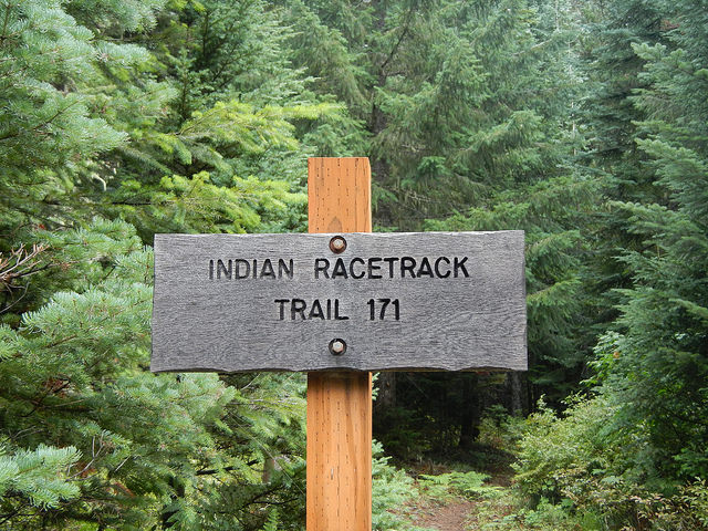 29194947600_775236e034_z