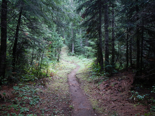 29403776311_278857ee58_z