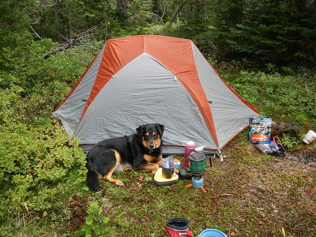 29449313836_4e996c3481_z