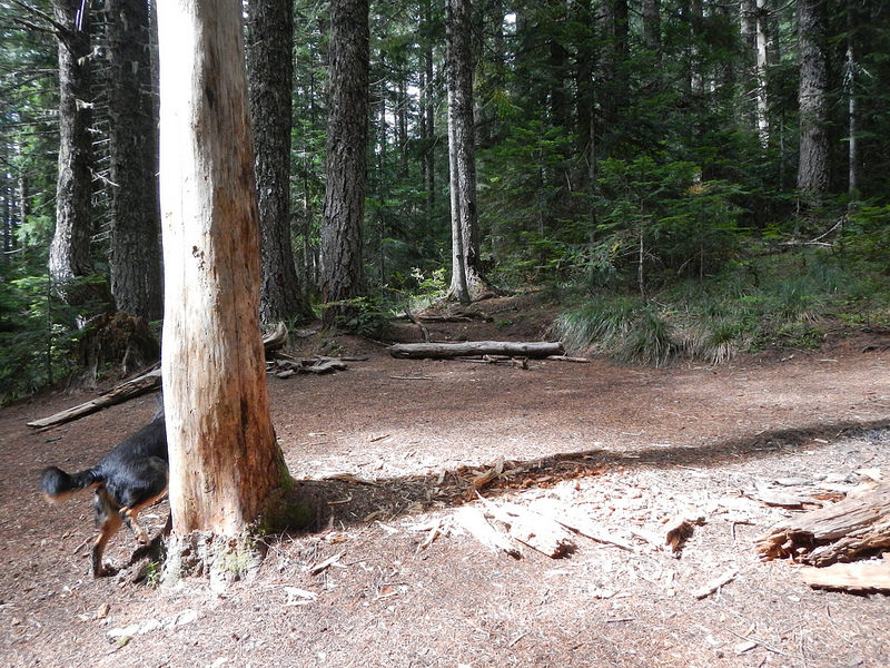 29539441651_a02f4ec643_c