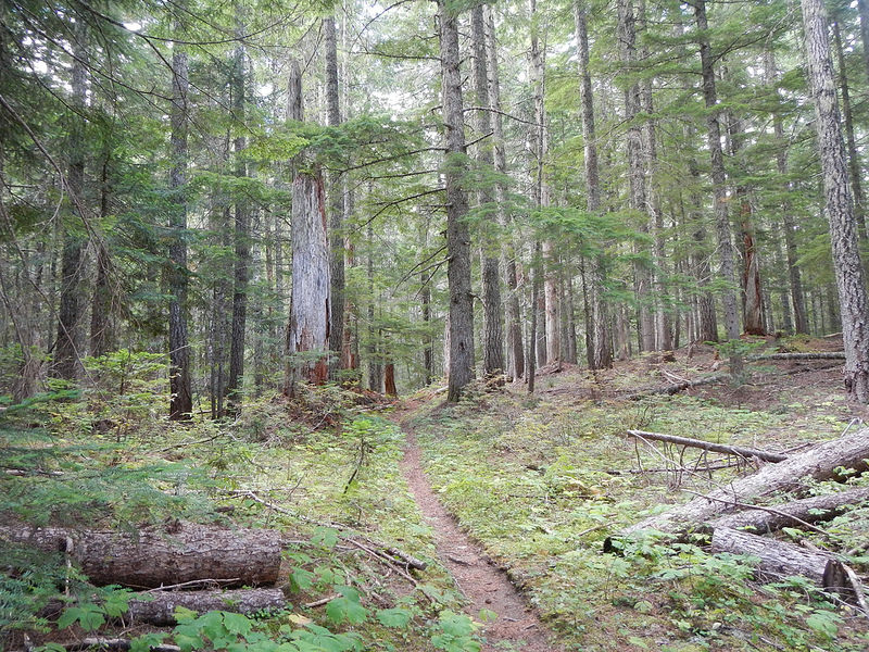 29539447691_20edfef025_c