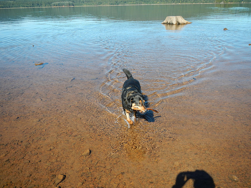 29638498010_3284a66068_c