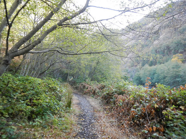 29593412333_bf7bea2928_z