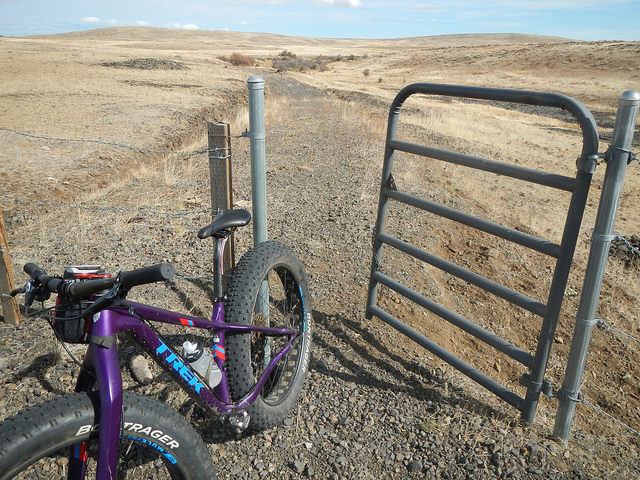 30137415571_b32ab57628_z