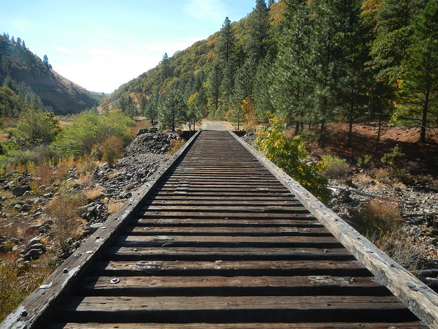 30137447361_e3c8a4d1ea_z