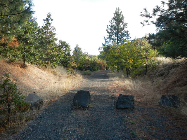 30222846015_9850244e3b_z