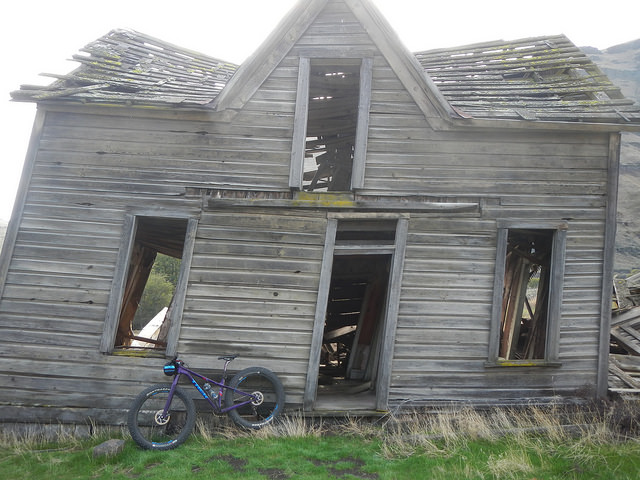 30437156241_3dcb6a8a6b_z