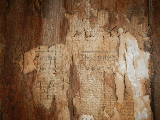 30487759076_5b605d62d6_z