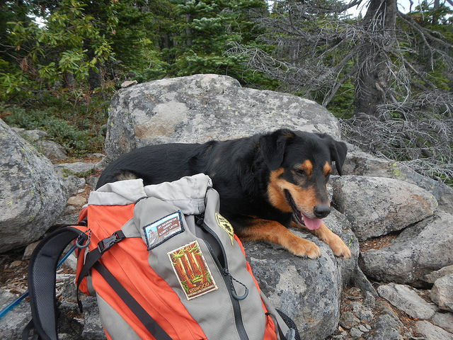 25291026759_4d1f611410_z