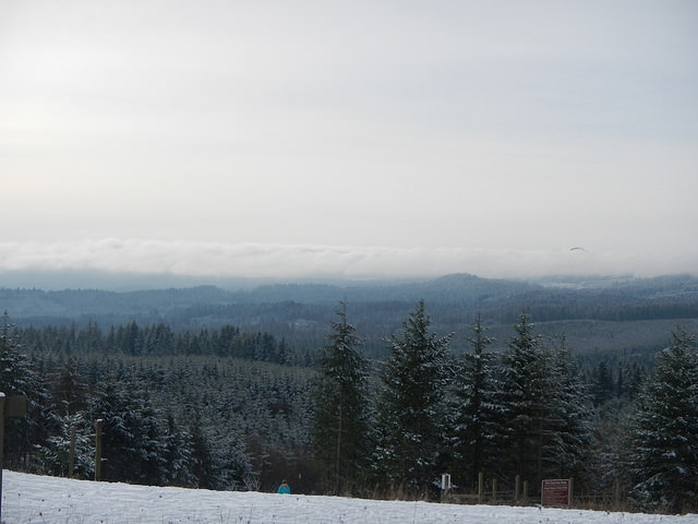 30921144403_fb895c1cd8_z