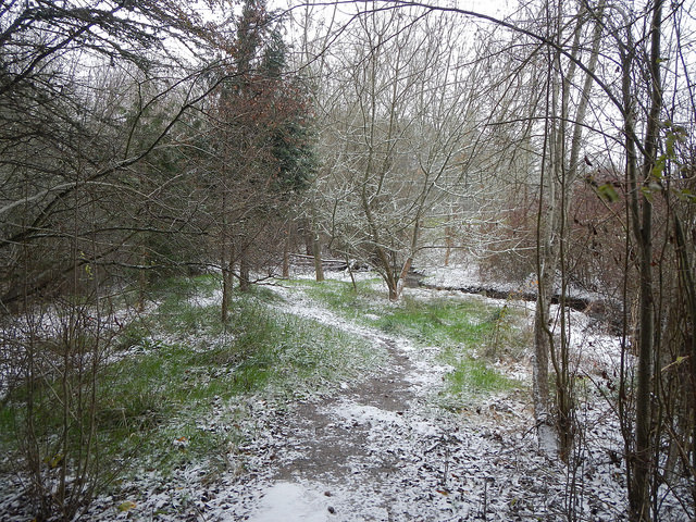 31400494341_fc4a20f293_z