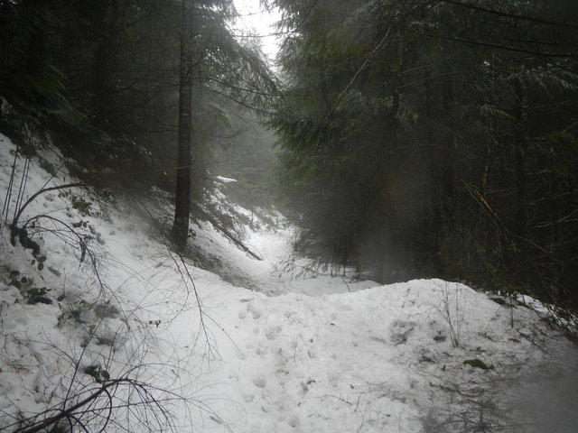 31622930494_fe5ace87ff_z