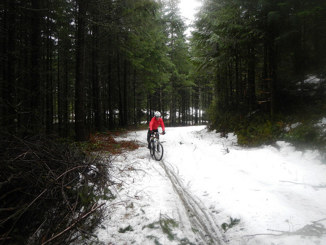 31654585363_8f0cb7d39c_z