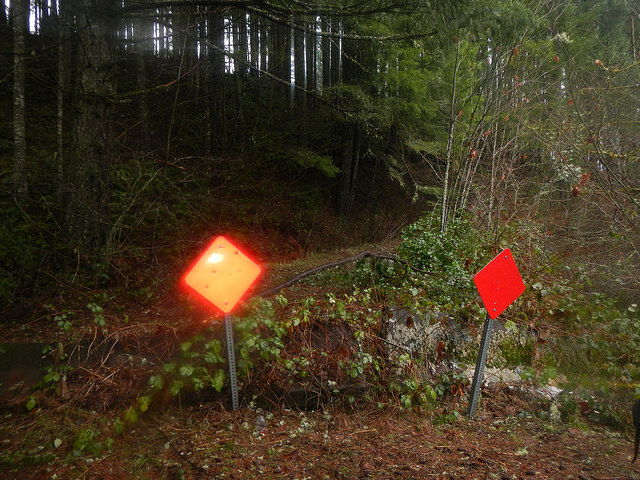 31654595513_8145218644_z