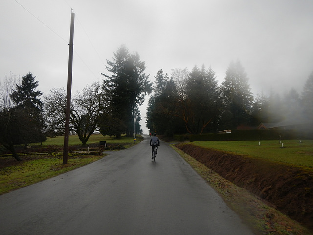 32344940741_9bc1a4993c_z