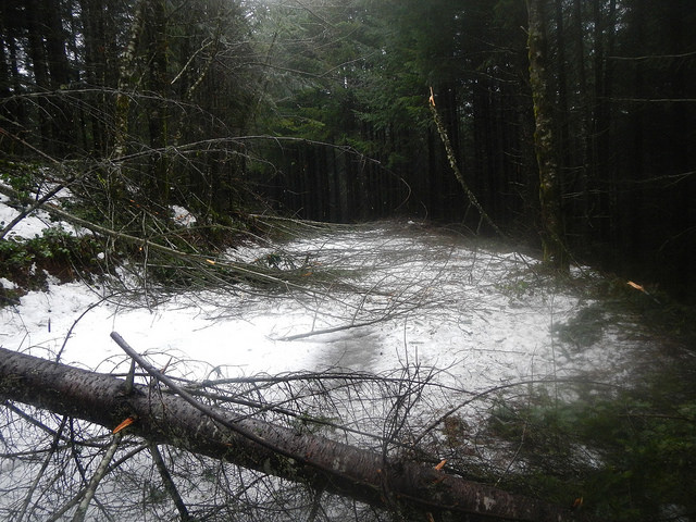 32466299455_fa410d6c71_z