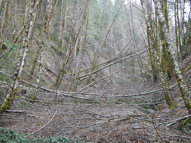 32875577941_b9614856d9_z