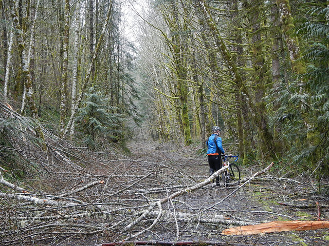 32875585651_08f41ab58a_z