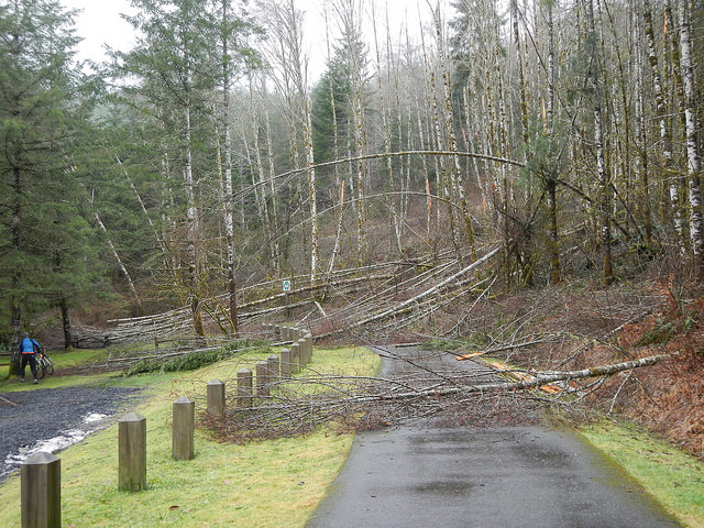 32875595341_2296fbc3b0_z