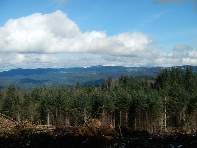 32980585012_88b5a11961_z