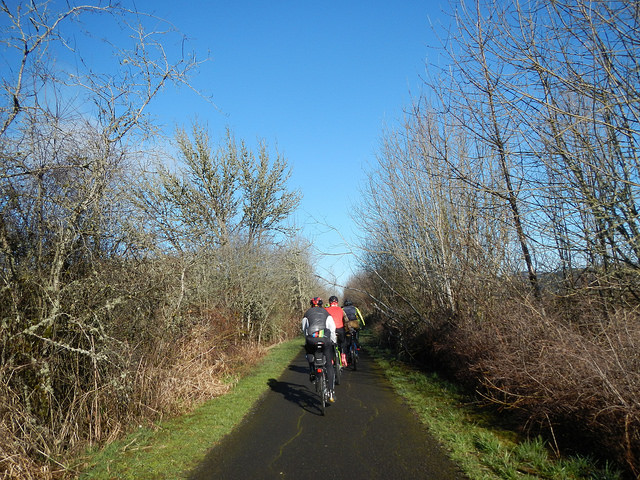 32980619522_1136ca8ff5_z