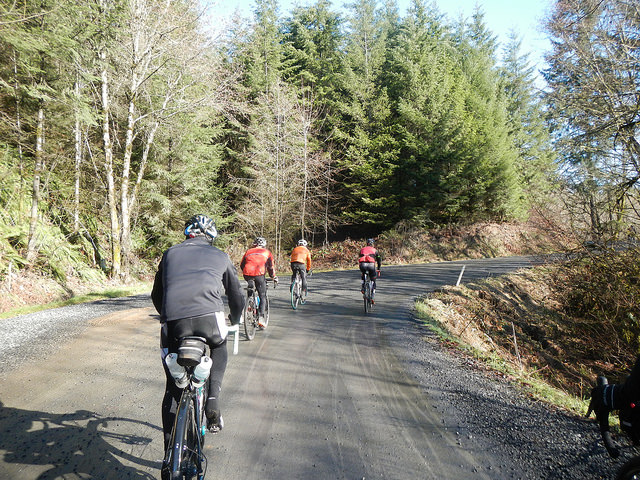 33137355875_28aa91cef8_z