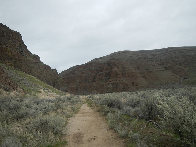 33148712370_a62352b330_z