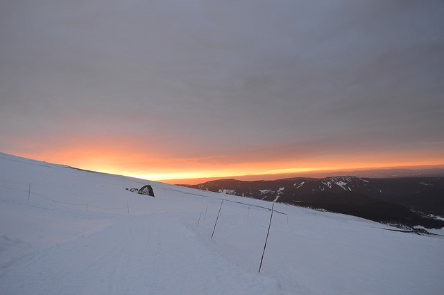 33260471901_13558c22ab_z