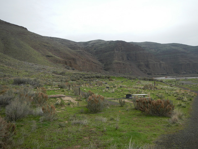 33491460676_1ae6991137_z