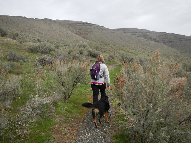 33491476286_7ea5c2653e_z