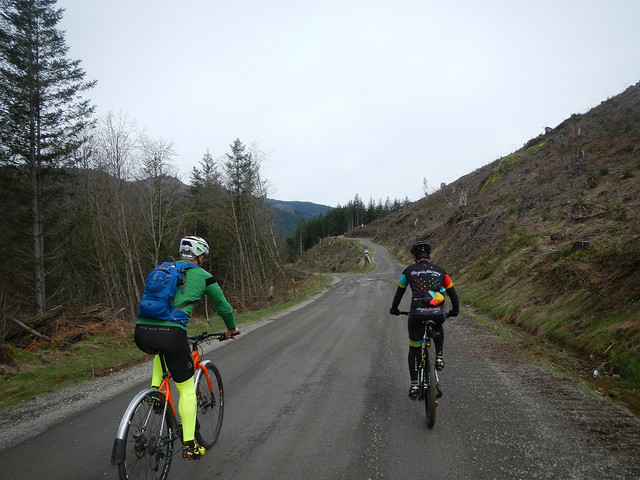 33131253283_bc2972e5c1_z