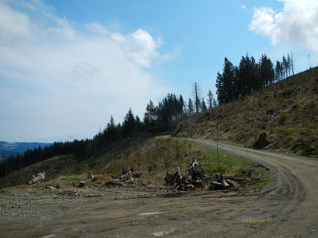 33559062110_c5976bdaed_z