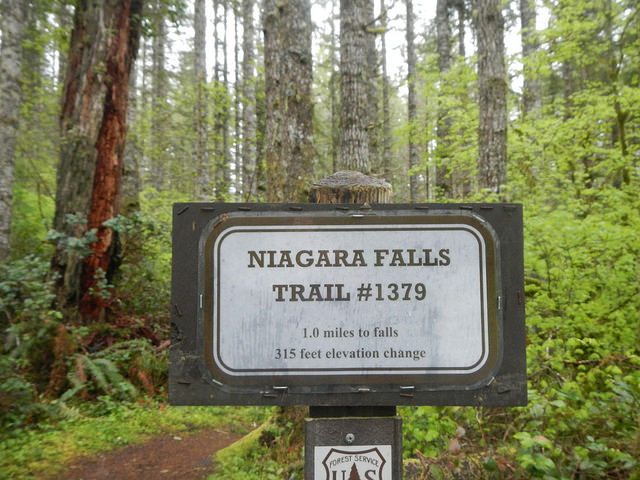 34770402586_50fa5bc687_z